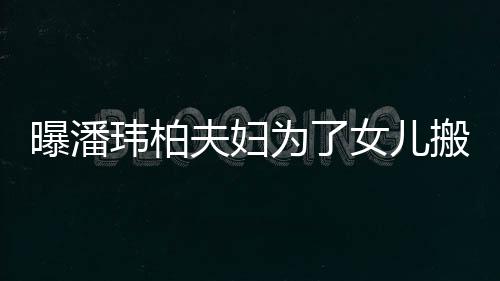 玮柏为了曝潘搬家女儿宅环夫妇设施境美 豪全